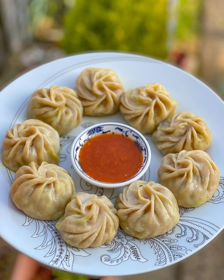 Chicken Momo - 10piece Steamed